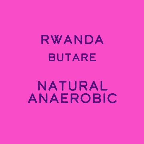 Rwanda Butare Anaerobic Natural