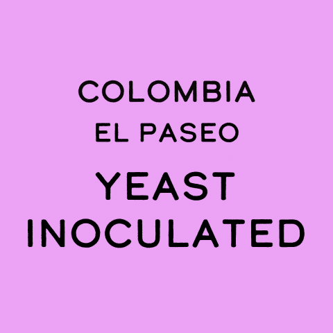 Colombia El Paseo Yeast Inoculated