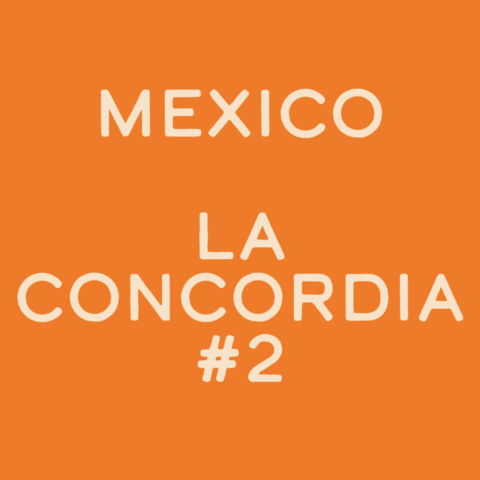 Mexico La Concordia #2