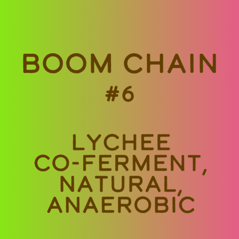 Boom Chain #6