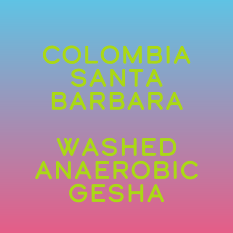 Colombia Santa Barbara Anaerobic Gesha (washed)