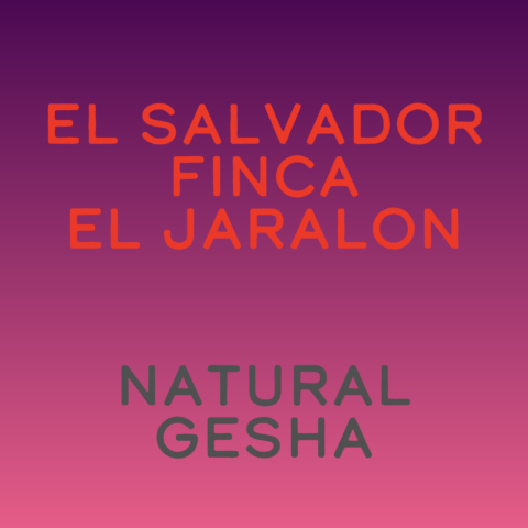 El Salvador El Jaralon Gesha natural